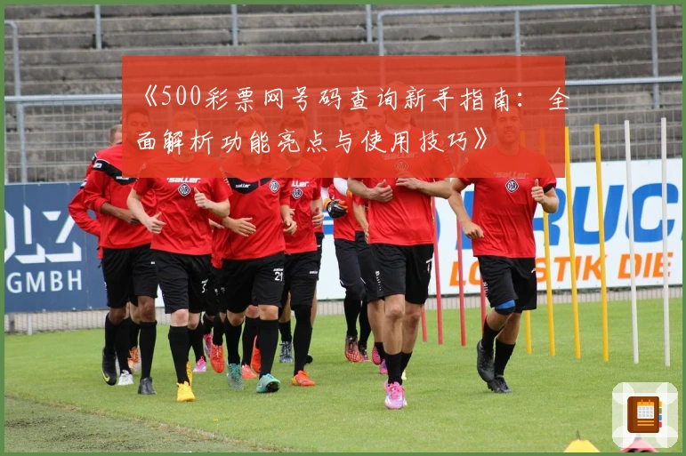 《500彩票网号码查询新手指南：全面解析功能亮点与使用技巧》