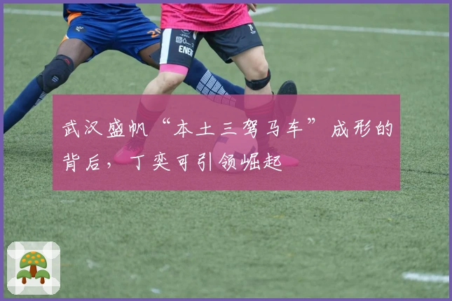 武汉盛帆“本土三驾马车”成形的背后，丁奕可引领崛起