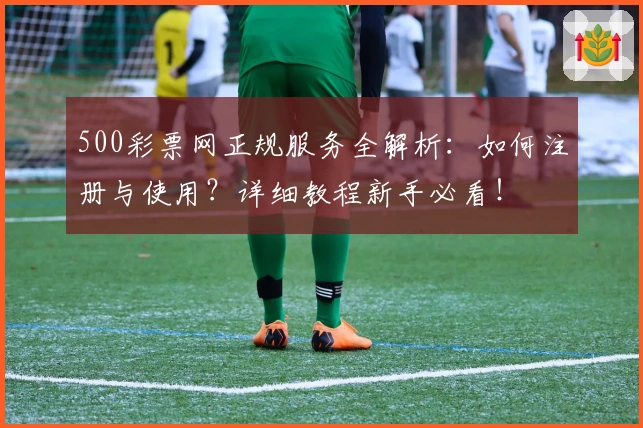 500彩票网正规服务全解析：如何注册与使用？详细教程新手必看！